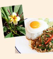 �^�C �T�o�C